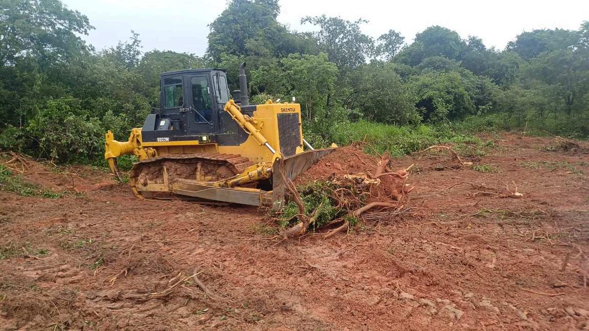 Bush Clearing Mpongwe